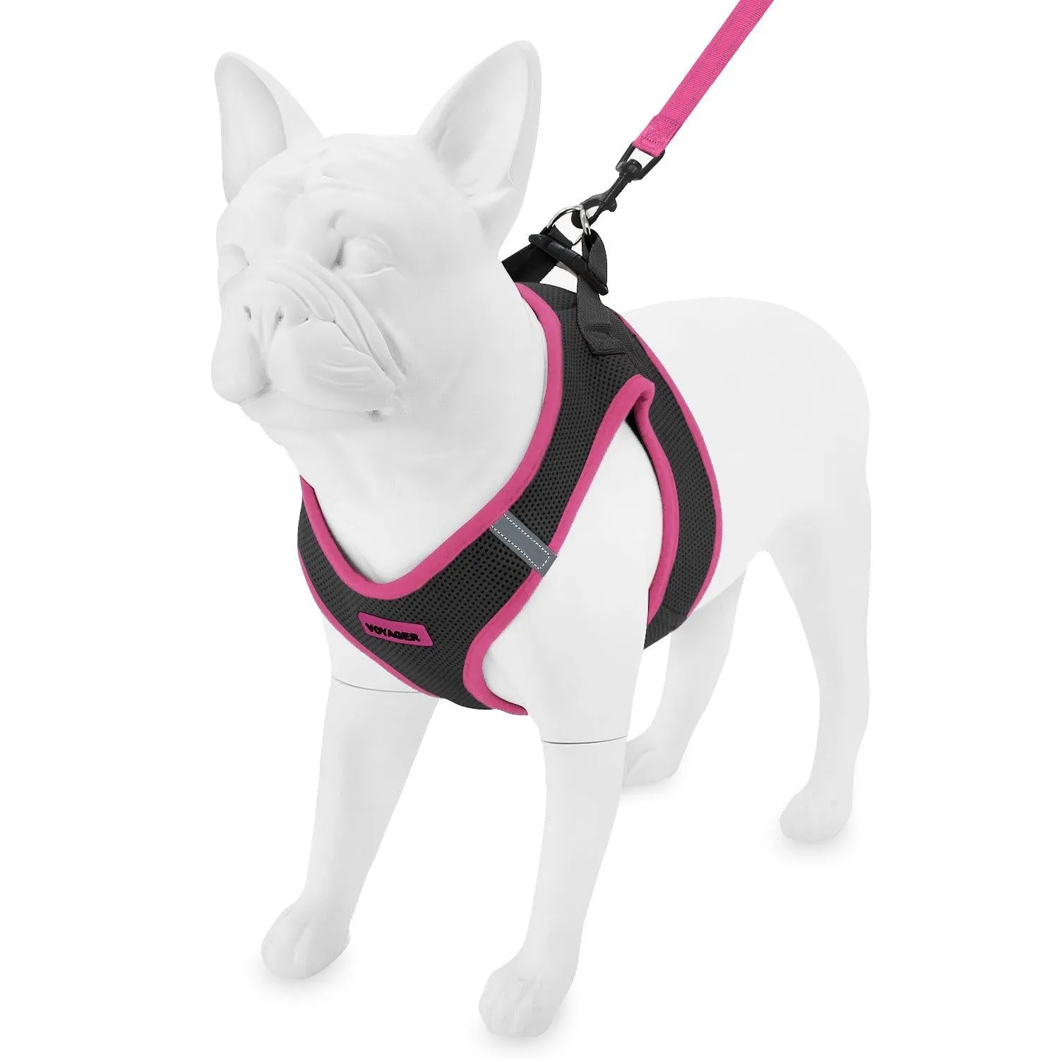 Step-In Air Mesh Harness & Leash Set For Ultimate Comfort