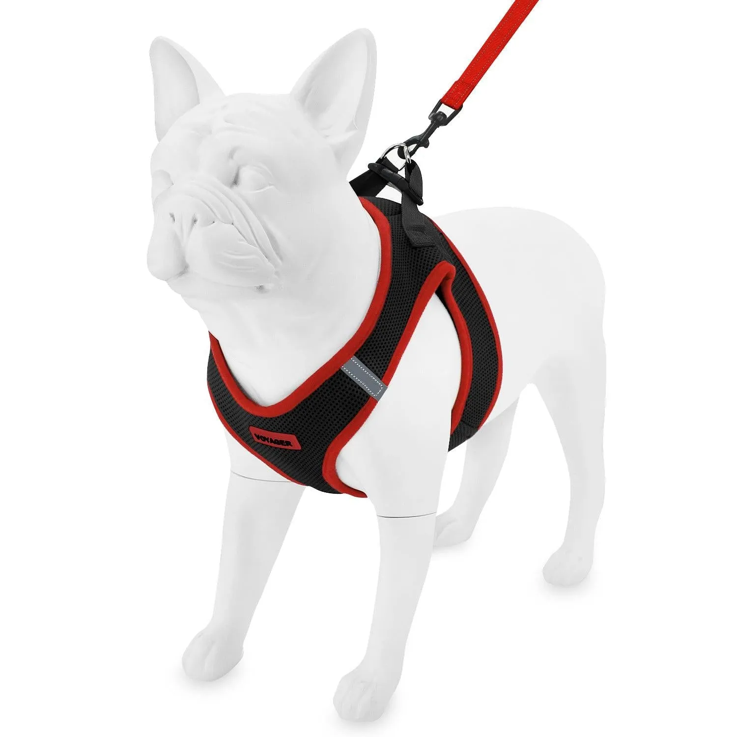 Step-In Air Mesh Harness & Leash Set For Ultimate Comfort