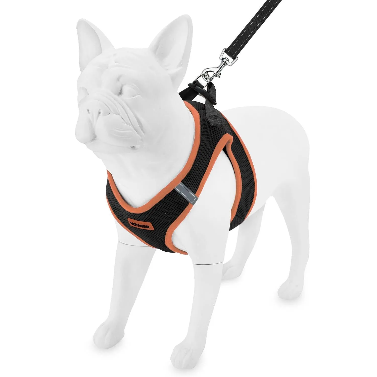 Step-In Air Mesh Harness & Leash Set For Ultimate Comfort