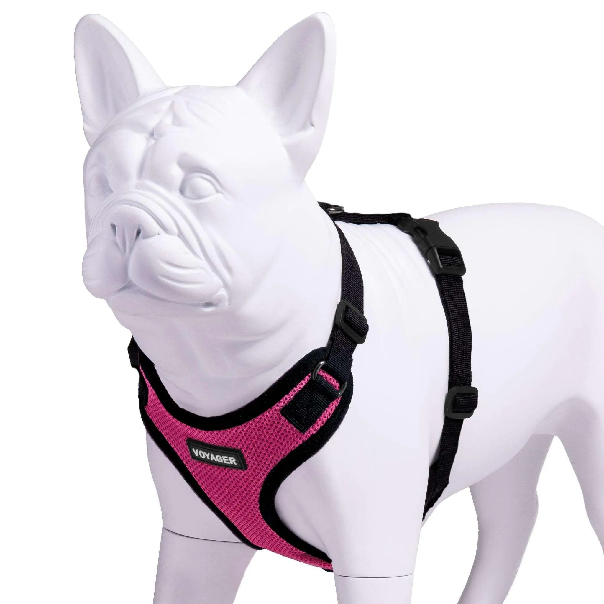 Step-In Lock Pet Harness