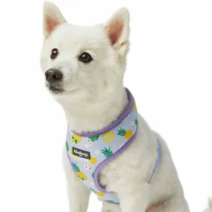 Zesty Fruit Dog Harness Vest